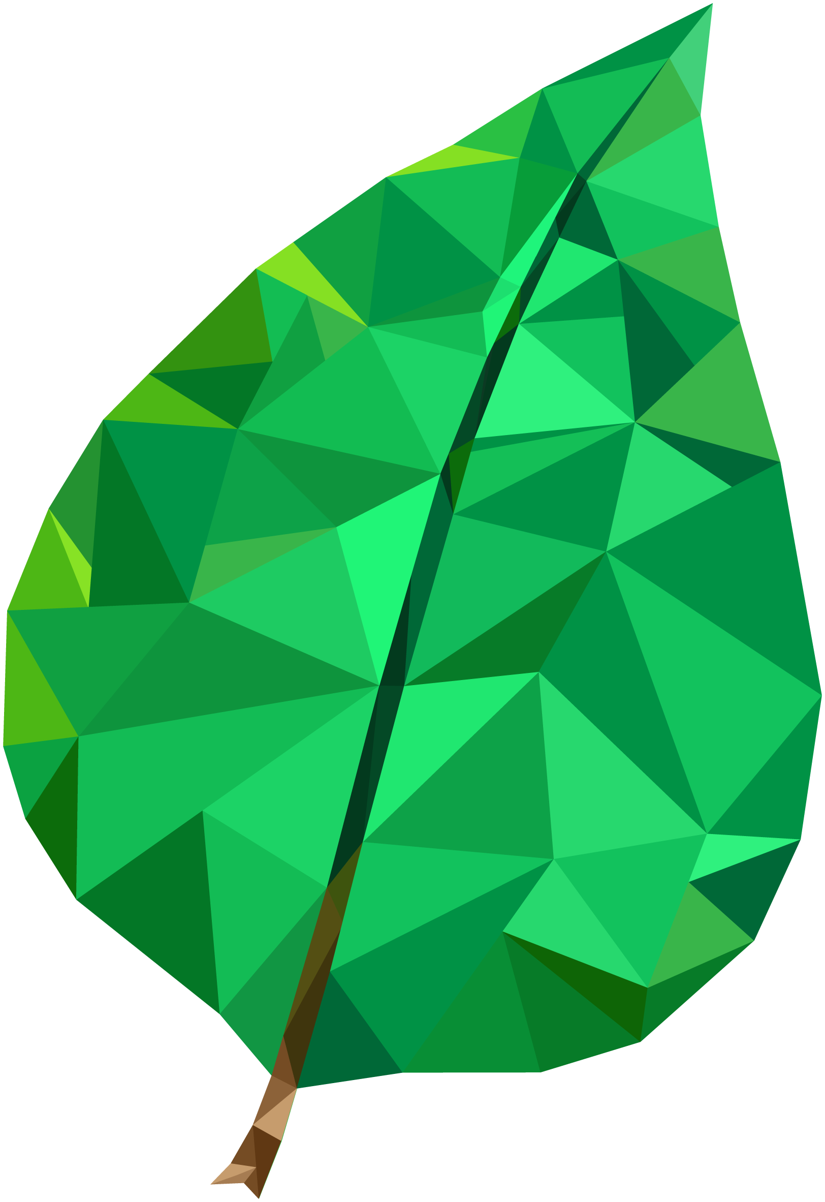 leaf